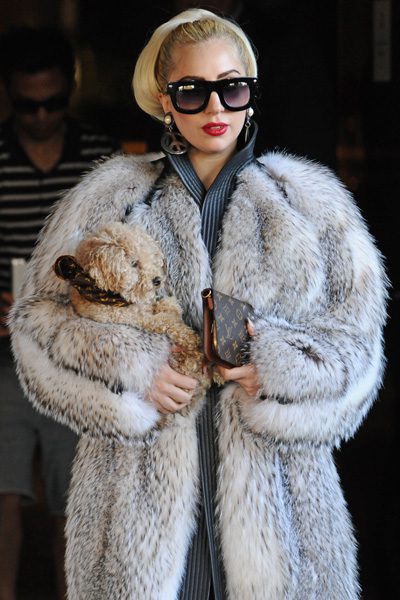 Lady Gaga carries a puppy as she leaves her hotel in Sofia where she is for the first gig of her European tour
