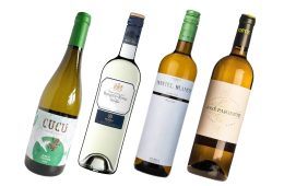 Rueda Spanish white wine tasting featuring Verdejo wines from top wineries in Spain