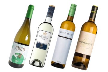 Rueda Spanish white wine tasting featuring Verdejo wines from top wineries in Spain