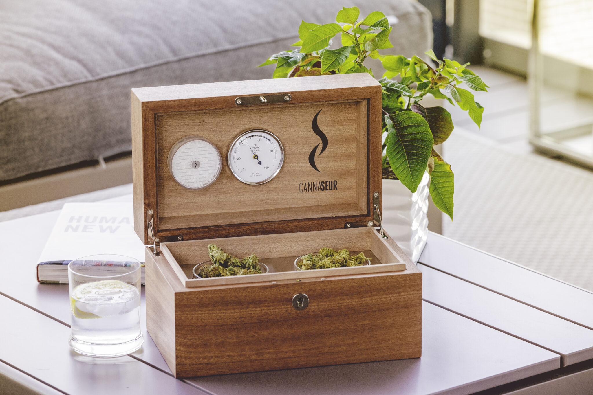 6 Reasons Why You Need Cannabis Storage!