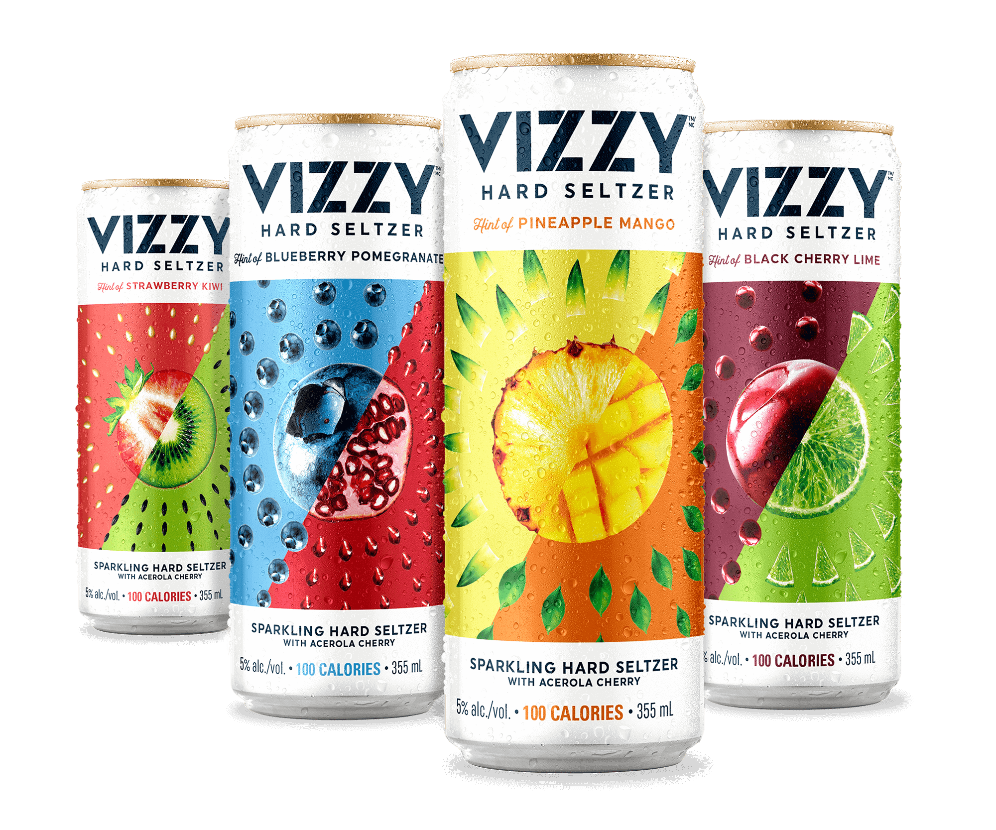 NEW IN TOWN VIZZY THE FIRST HARD SELTZER MADE WITH SUPERFRUIT 