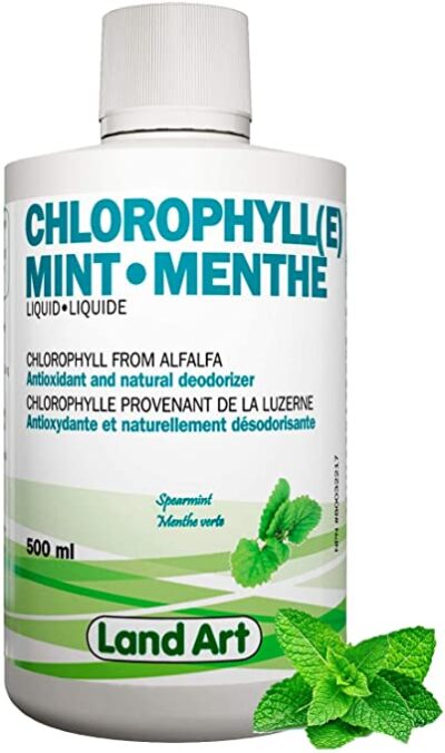 Why You Should Be Taking Liquid Chlorophyll