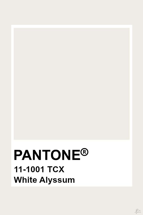 Pantone 11-1001 - White Alyssum
