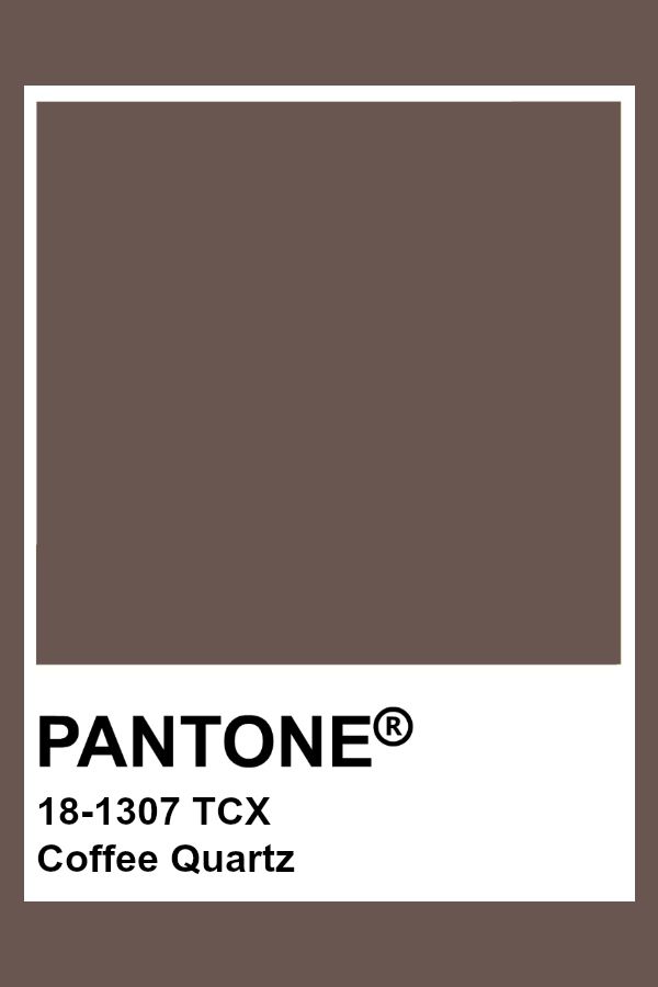 Pantone 18-1307 - Coffee Quartz