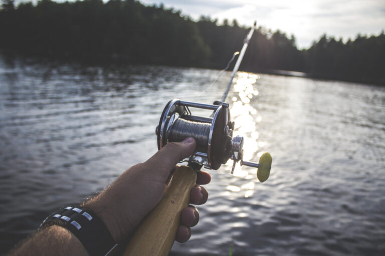 6 Essential Things You Need Before You Go Fishing