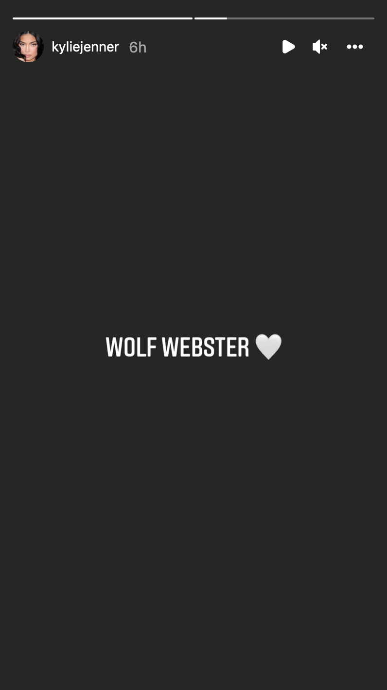 Wolf Webster