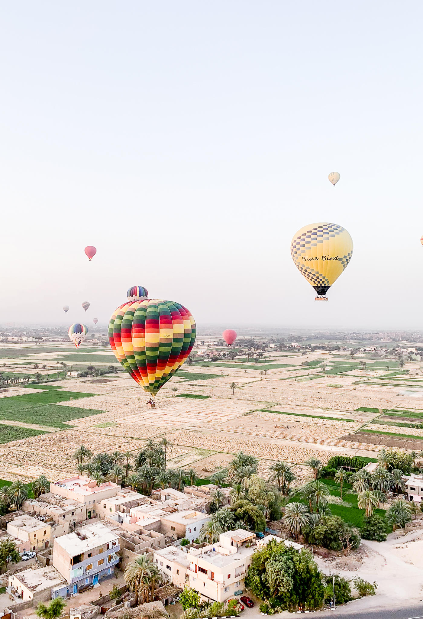  hot air balloons in Luxor, Egypt