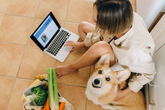 Woman with service dog on computer