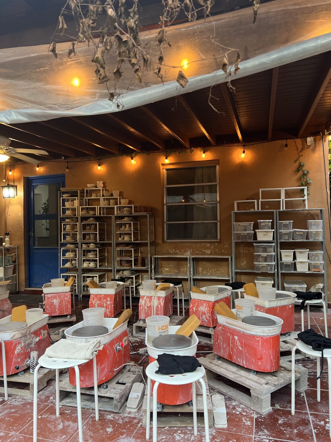 OCISLY Ceramics A Wynwood Oasis