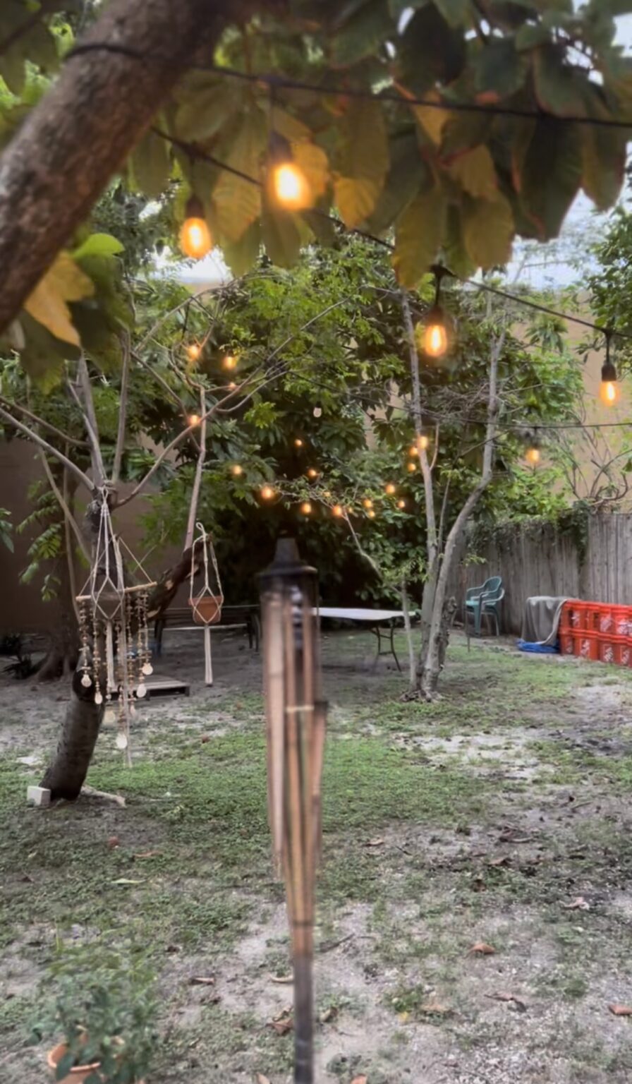 OCISLY Ceramics A Wynwood Oasis