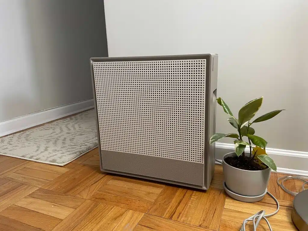 air purifier for allergies