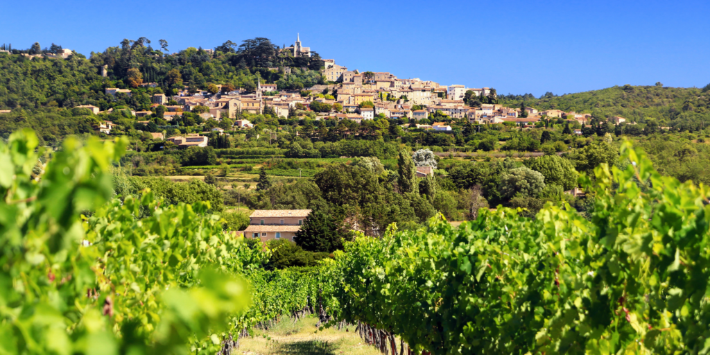Everything You Need To Know About Provence Wines