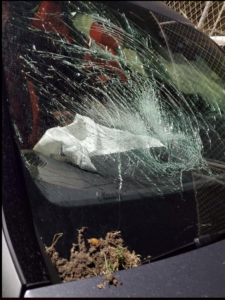 Pete Davidson's windscreen on his car severely cracked.
