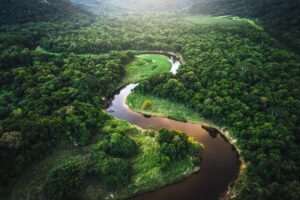 Jeff Bezos and Leonardi DiCaprio help save the Amazon Rainforest