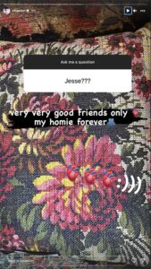 A screenshot of Billie Eilish's instagram story reading "Jesse???" "very very good friends only, my homie forever"