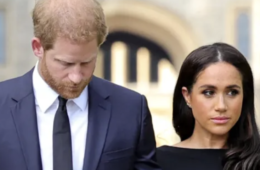 prince harry and meghan markle