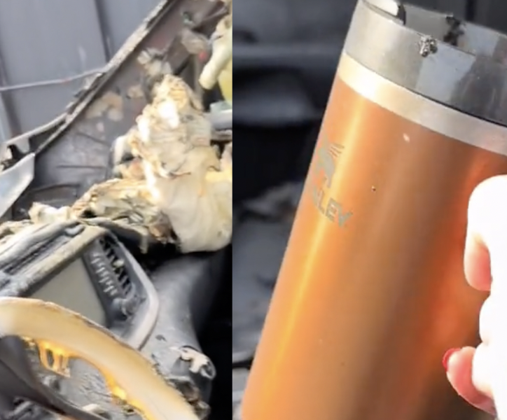 Stanley Cup Fire Survives The Fire Video