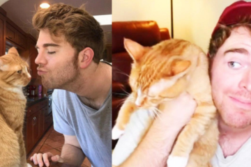 What did Shane Dawson Do to His Cat