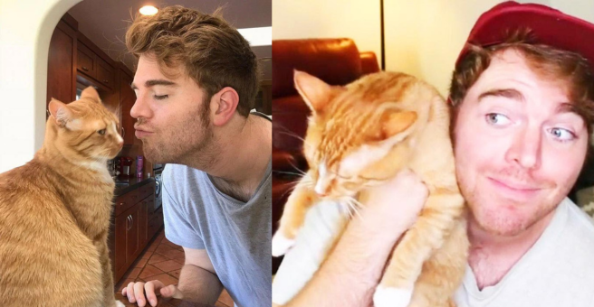What did Shane Dawson Do to His Cat