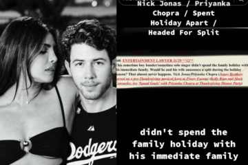 Priyanka Chopra and Nick Jonas Split Divorce Rumors