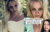 Britney Spears Birthday Dog Medical Emergency What Happened