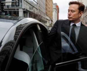 Elon Musk Custody Battle