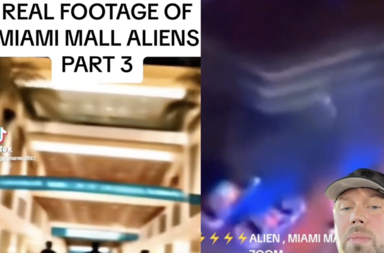 Bayside Mall Miami Alien Video Leaked