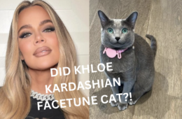 Did Khloe Kardashian Facetune Photo Of Cat?