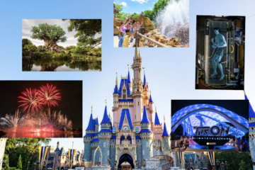 This Is What Disney World Is Like From A 13 Year-Old's Perspective