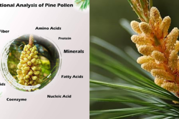 Pine Pollen benefits for women