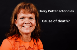 Warwick Davis Harry Potter Wife Dies