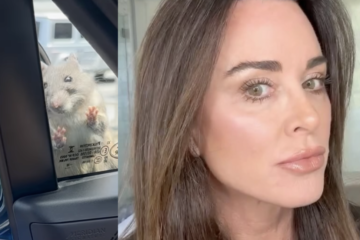 What Happened To Mouse On Kyle Richards Car Video