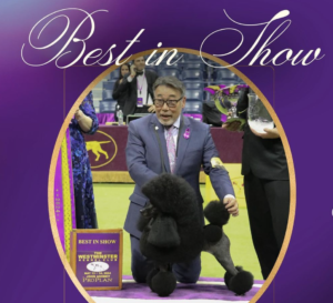 Sage Westminster Best in Show