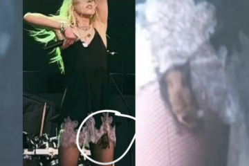 Are Flying Bats Dangerous? Taylor Momsen Bat Video Rabies Shot