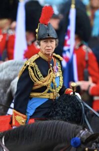 Princess Anne In Hospital With A Concussion 