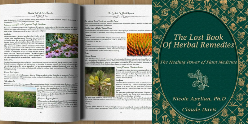 5 Natural Remedies From The Lost Book Of Herbal Remedies PDF