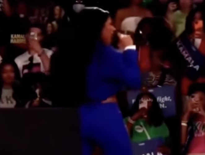 Megan Thee Stallion Kamala Harris Rally Twerking Controversy