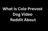 What Is Cole Prevost Dog Video Reddit About
