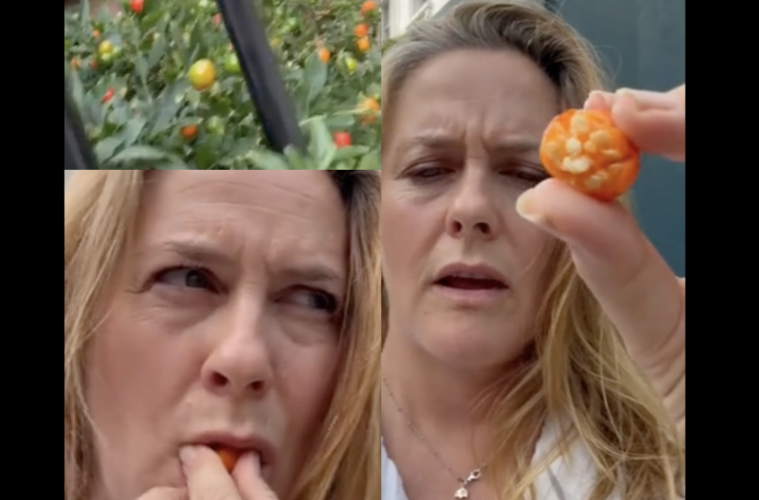 Is Alicia Silverstone Alive Toxic Fruit TikTok Sparks Concern