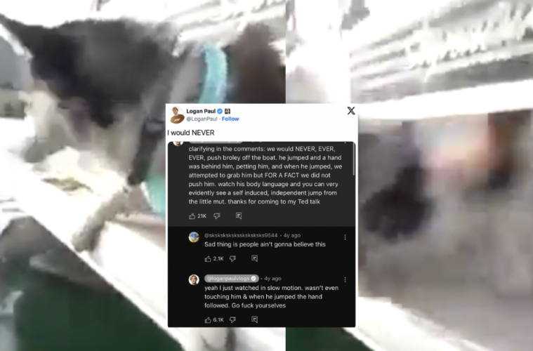 Logan Paul Pushes Dog Off Boat Video Controversy Explained