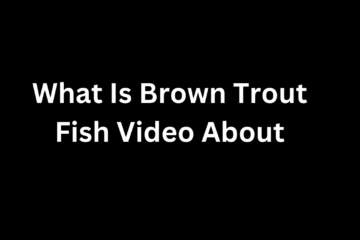 What Is Brown Trout Fish Video About