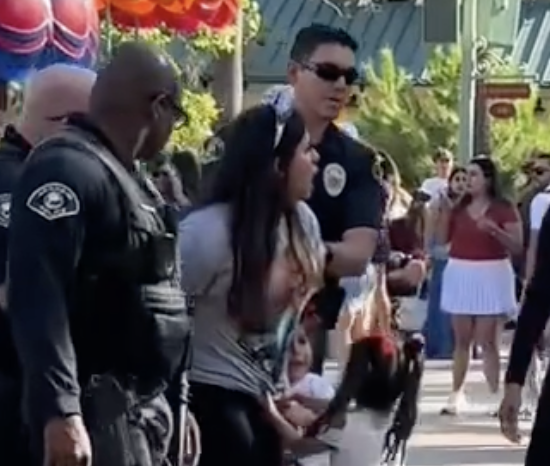Why Was Disneyland Mom Arrested Video