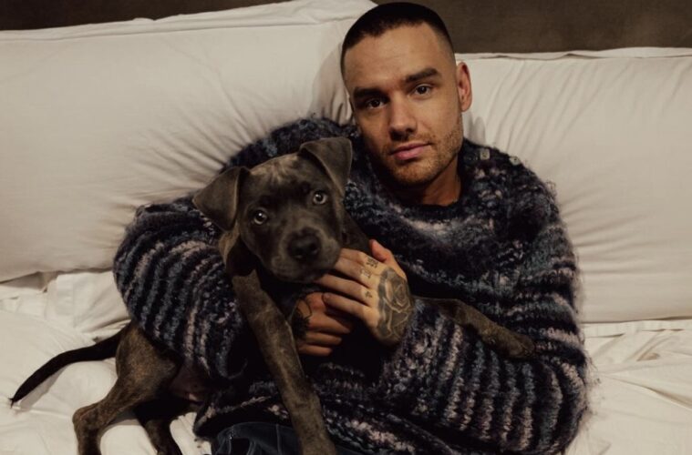 Liam Payne's Family Statement Following His Death