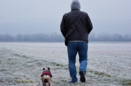Dog Walking Linked to Longer, Healthier Lives for Older Adults