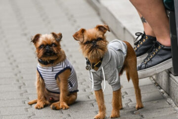 Brits Turn to Quirky Hacks to Stay Warm This Winter