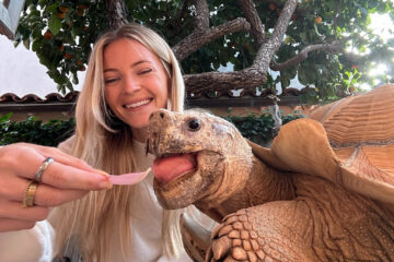 Tortoise Tiptoe Escapes Wildfires, Goes Viral