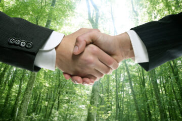 Are Strong Handshakes Linked to Relationship Success?
