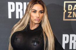 Katie Price Plans to Frame Her Old Breast Implants