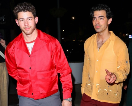 Nick Jonas Celebrates 20 Years of Jonas Brothers with Exciting Future Plans
