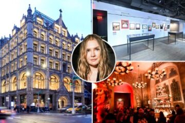 The Rise and Fall of the Anna Delvey Foundation